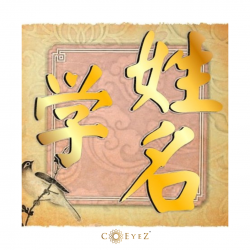 Coeyez Energy Transformation Name Change Service